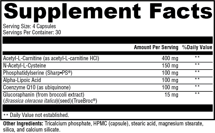 Brain and Memory Support