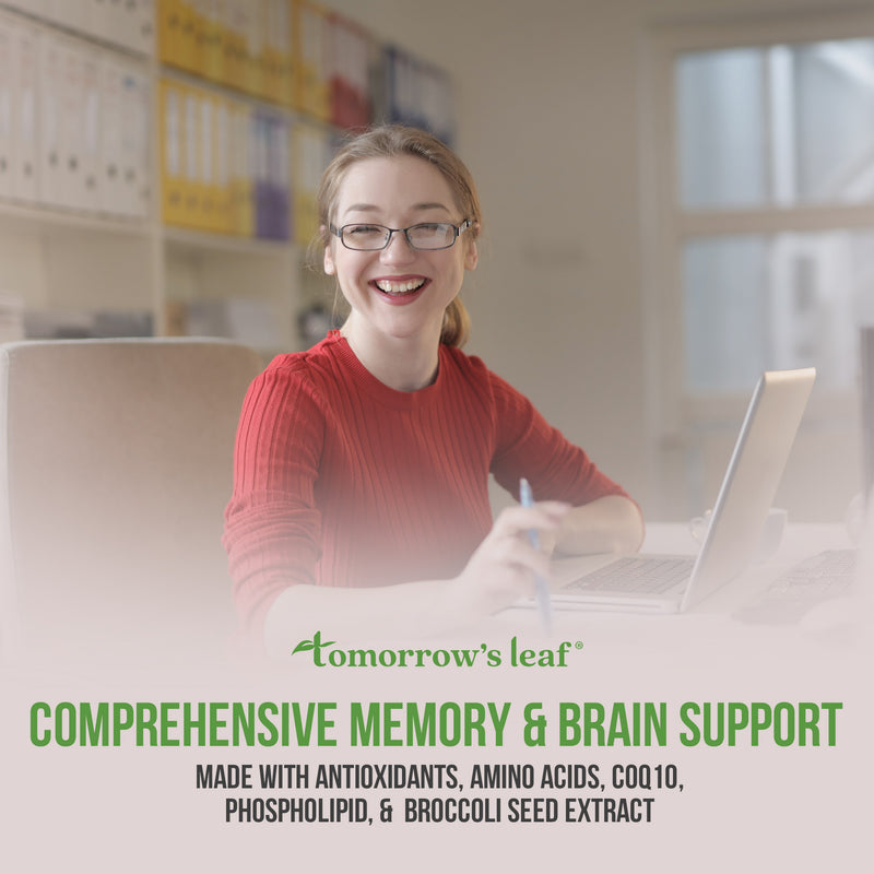 Comprehensive Memory Support