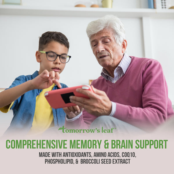 Brain and Memory Support