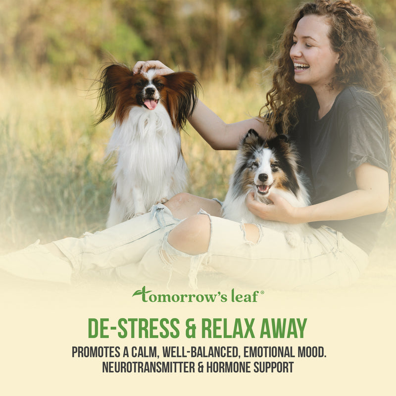 Stress Away Relaxation