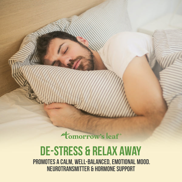 Stress Away Relaxation