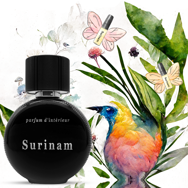 Flowering Pharmacy® Surinam parfum d’intérieur for MusiCares