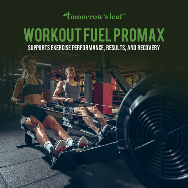 Workout Fuel Promax